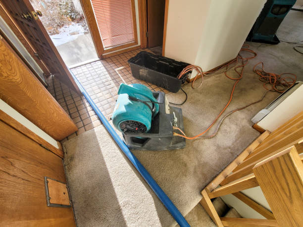 Best Commercial water damage restoration  in Clovis, CA