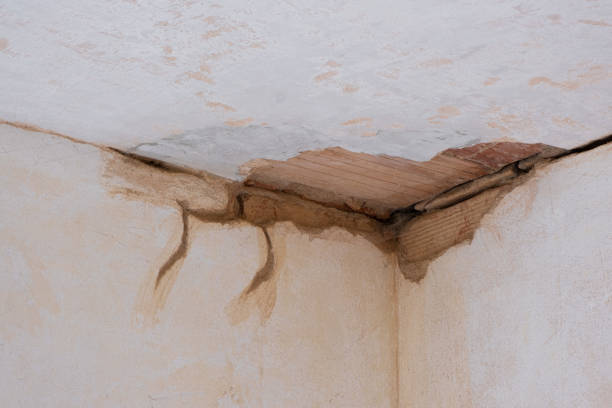Trusted CA Water damage restoration Experts