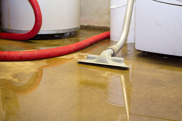  Clovis, CA Water damage restoration Pros