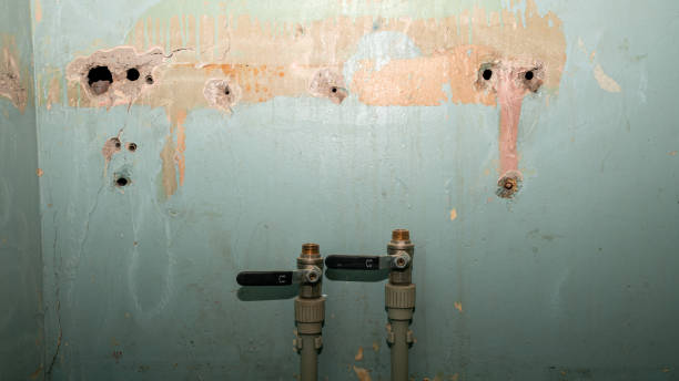 Best Water damage repair service  in Clovis, CA