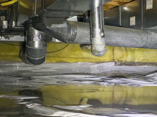Best Flood damage cleanup  in Clovis, CA